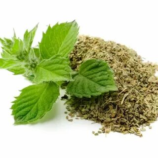 فروش مستقیم سبزی نعنا خشک صادراتی از تولید به مصرف